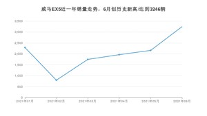 威马汽车威马EX5 2021年6月份销量数据发布 共3246台