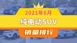 2021年6月纯电动SUV销量排行榜，Model Y夺得冠军，第二名差距也太大了 