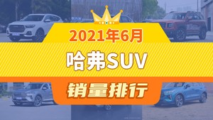 2021年6月哈弗SUV销量排行榜，哈弗大狗屈居第三，哈弗赤兔成最大黑马