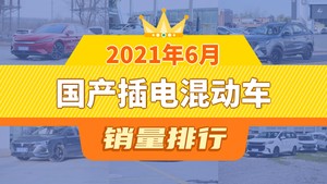 2021年6月国产插电混动车销量排行榜，汉以10437辆夺冠，海马6P升至第9名 