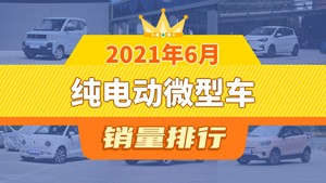 2021年6月纯电动微型车销量排行榜，小蚂蚁位居第二，第一名你绝对想不到