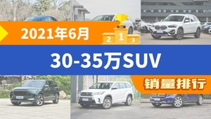 2021年6月30-35万SUV销量排行榜，Model Y夺得冠军，第二名差距也太大了 