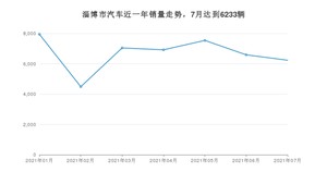 淄博市7月汽车销量统计 宏光MINI EV排名第一(2021年)