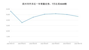 7月滨州市汽车销量数据统计 宏光MINI EV排名第一(2021年)
