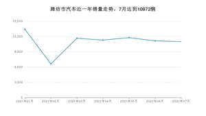 潍坊市7月汽车销量数据发布 宏光MINI EV排名第一(2021年)