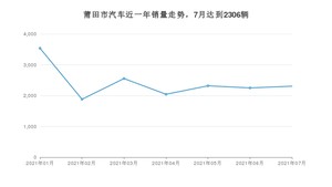莆田市7月汽车销量统计 宏光MINI EV排名第一(2021年)