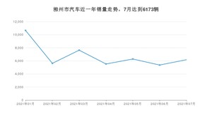 柳州市7月汽车销量 宏光MINI EV排名第一(2021年)
