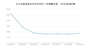 文山壮族苗族自治州7月汽车销量 宏光MINI EV排名第一(2021年)