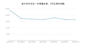 徐州市7月汽车销量数据发布 宏光MINI EV排名第一(2021年)