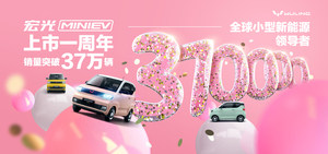 实拍五菱宏光MINIEV秋色版 颜色上新！