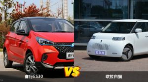 睿行ES30和欧拉白猫怎么选？这份全方位对比告诉你