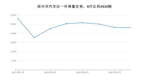 滨州市8月汽车销量统计 宏光MINI EV排名第一(2021年)