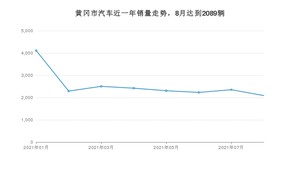 8月黄冈市汽车销量数据统计 宏光MINI EV排名第一(2021年)