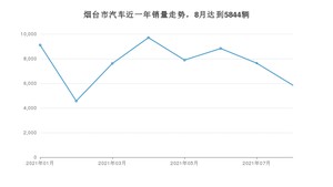 8月烟台市汽车销量情况如何? 宏光MINI EV排名第一(2021年)
