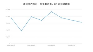 海口市8月汽车销量 宏光MINI EV排名第一(2021年)