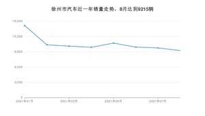 徐州市8月汽车销量数据发布 宏光MINI EV排名第一(2021年)