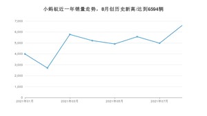 2021年8月奇瑞小蚂蚁销量如何？ 在微型车中排名怎么样？