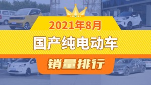 2021年8月国产纯电动车销量排行榜，汉位居第二，第一名你绝对想不到