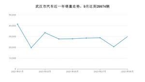 武汉市9月汽车销量统计 Model Y排名第一(2021年)