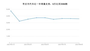 9月枣庄市汽车销量情况如何? 宏光MINI EV排名第一(2021年)