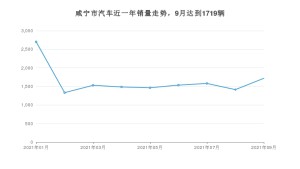 咸宁市9月汽车销量统计 福瑞迪排名第一(2021年)