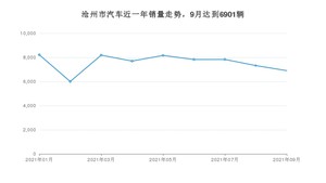 沧州市9月汽车销量统计 宏光MINI EV排名第一(2021年)