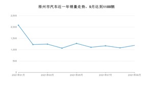 梧州市9月汽车销量数据发布 宏光MINI EV排名第一(2021年)