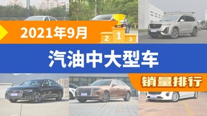 2021年9月汽油中大型车销量排行榜，宝马5系以14768辆夺冠，奥迪A6(进口)升至第10名 