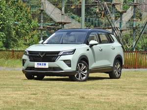 物美价廉的家用SUV，五菱星辰哪款车型最值得入手？