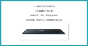 BOSE音响/卡片钥匙/运动套件 广汽本田型格配置曝光