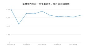 10月淄博市汽车销量数据统计 宏光MINI EV排名第一(2021年)
