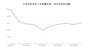 六安市10月汽车销量数据发布 宏光MINI EV排名第一(2021年)