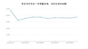 枣庄市10月汽车销量统计 宏光MINI EV排名第一(2021年)