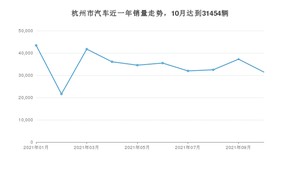 杭州市10月汽车销量统计 Model Y排名第一(2021年)