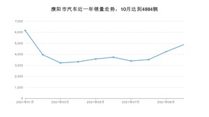 濮阳市10月汽车销量统计 宏光MINI EV排名第一(2021年)