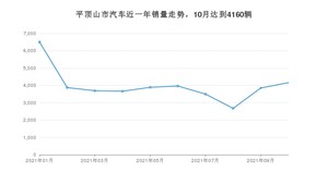 平顶山市10月汽车销量统计 宏光MINI EV排名第一(2021年)