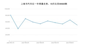 上海市10月汽车销量数据发布 Model Y排名第一(2021年)