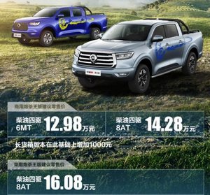 升级AT胎 加装底盘护板 长城炮茶王上市售12.98万元起