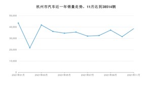 11月杭州市汽车销量数据统计 Model Y排名第一(2021年)