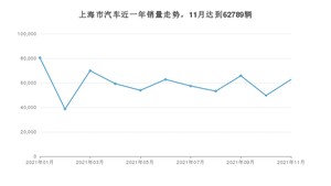 上海市11月汽车销量统计 Model Y排名第一(2021年)