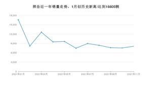 2021年11月大众探岳销量多少？ 全国销量分布如何？