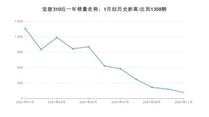 2021年11月宝骏310销量多少？ 全国销量分布如何？