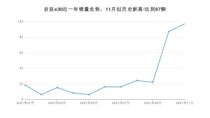 东风启辰启辰e30 2021年11月份销量数据发布 共97台