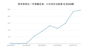 朋克汽车朋克美美 2021年11月份销量数据发布 共246台