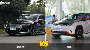 奥迪S8和海豚哪个更值得入手？哪款车的用户评价更高？