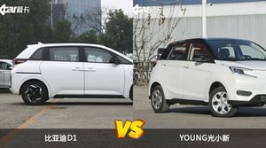 买比亚迪D1还是YOUNG光小新？哪款车配置更丰富？