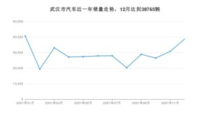 武汉市12月汽车销量 Model Y排名第一(2021年)