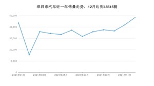 深圳市12月汽车销量 Model Y排名第一(2021年)