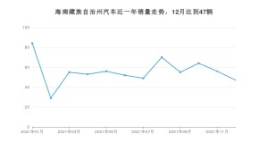 海南藏族自治州12月汽车销量统计 风行T5排名第一(2021年)
