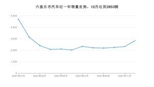 12月六盘水市汽车销量情况如何? 五菱宏光排名第一(2021年)